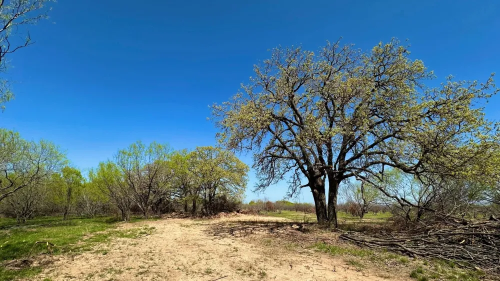 Co Rd 340 Ranger, TX 76470