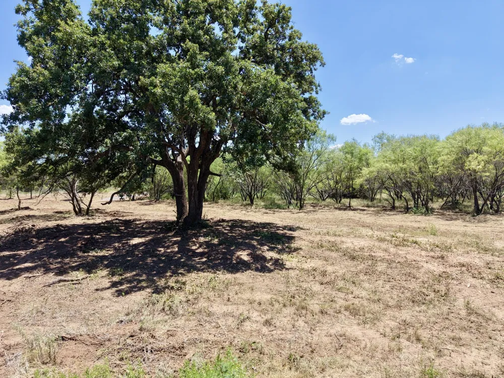 Co Rd 340 Ranger, TX 76470