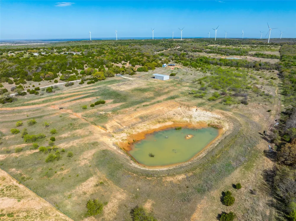 231 Georgia Pass Desdemona, TX 76445