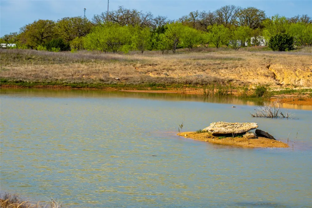 231 Georgia Pass Desdemona, TX 76445