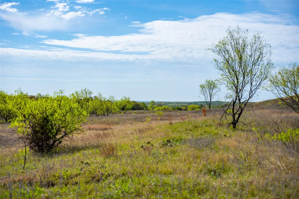 231 Georgia Pass Desdemona, TX 76445
