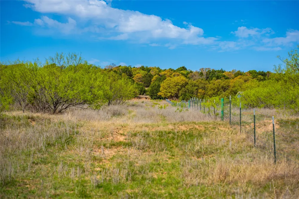 231 Georgia Pass Desdemona, TX 76445