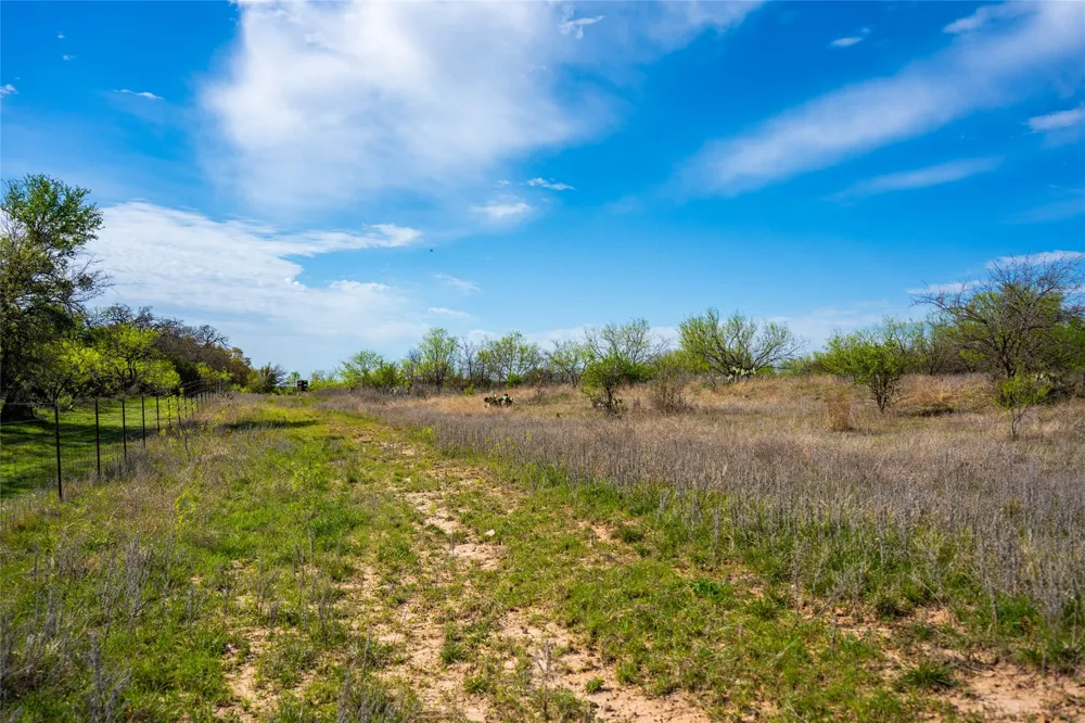 231 Georgia Pass Desdemona, TX 76445