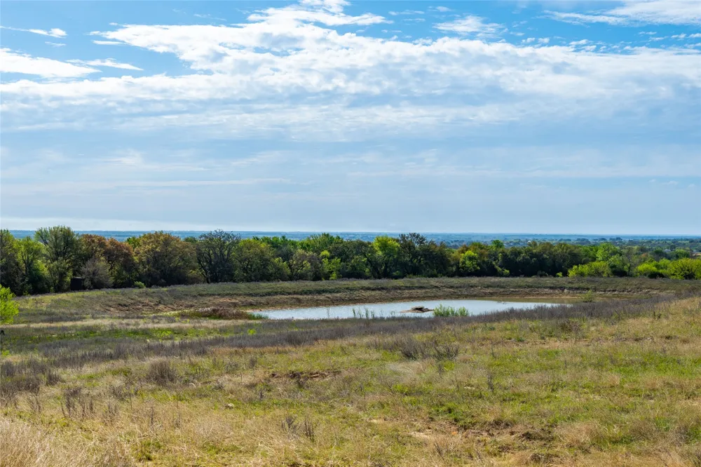231 Georgia Pass Desdemona, TX 76445