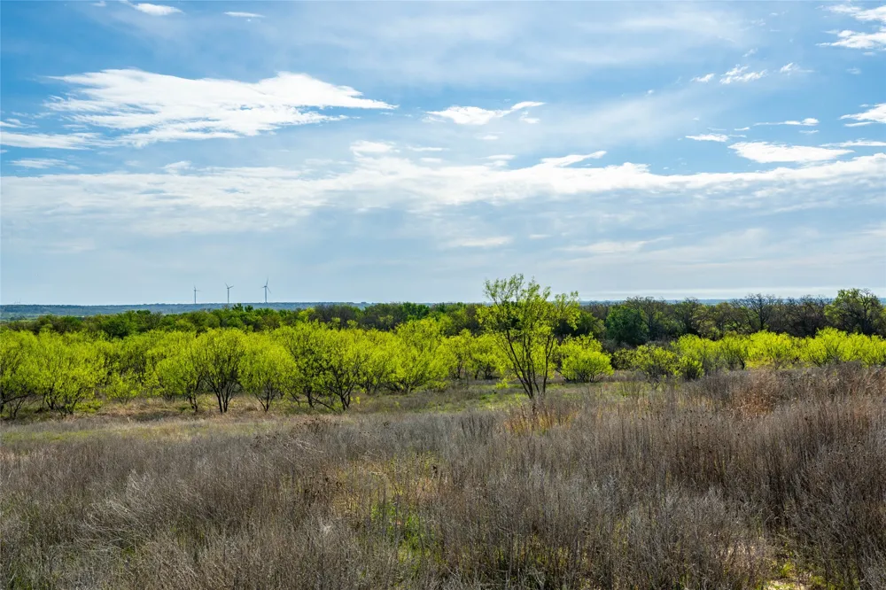 231 Georgia Pass Desdemona, TX 76445