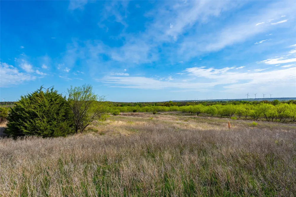 231 Georgia Pass Desdemona, TX 76445