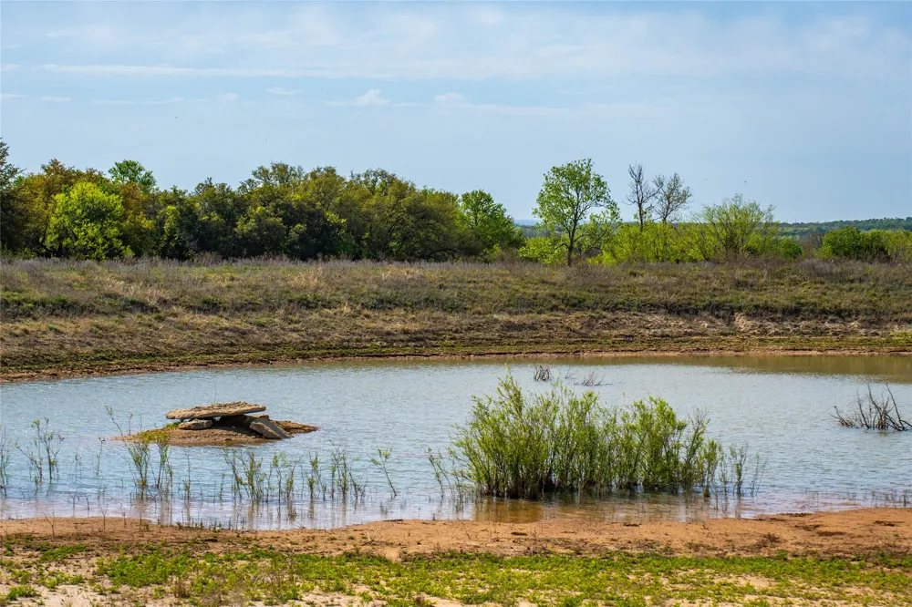231 Georgia Pass Desdemona, TX 76445