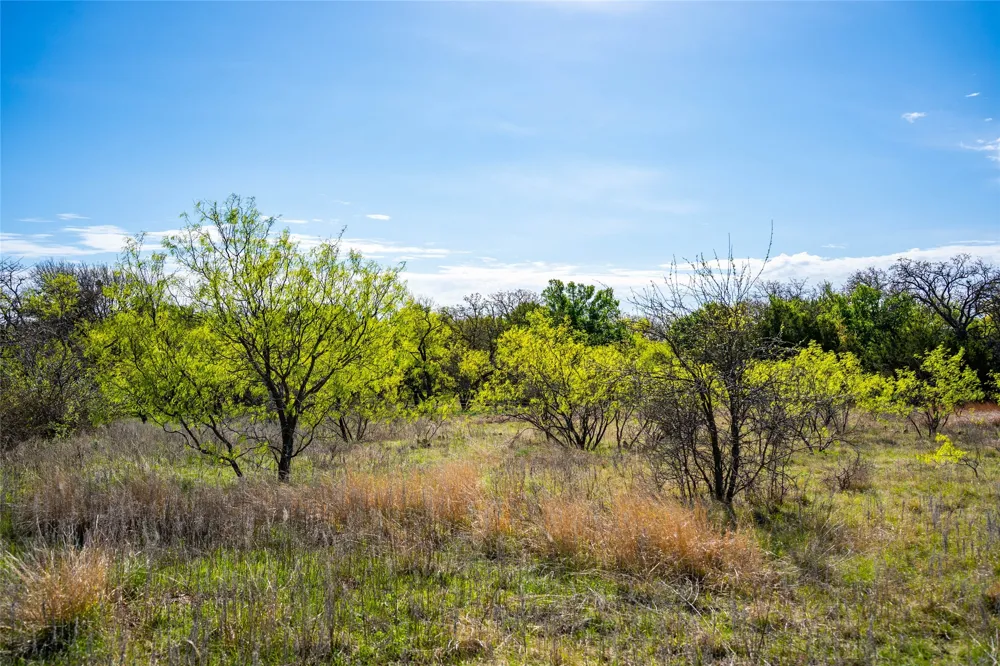 231 Georgia Pass Desdemona, TX 76445