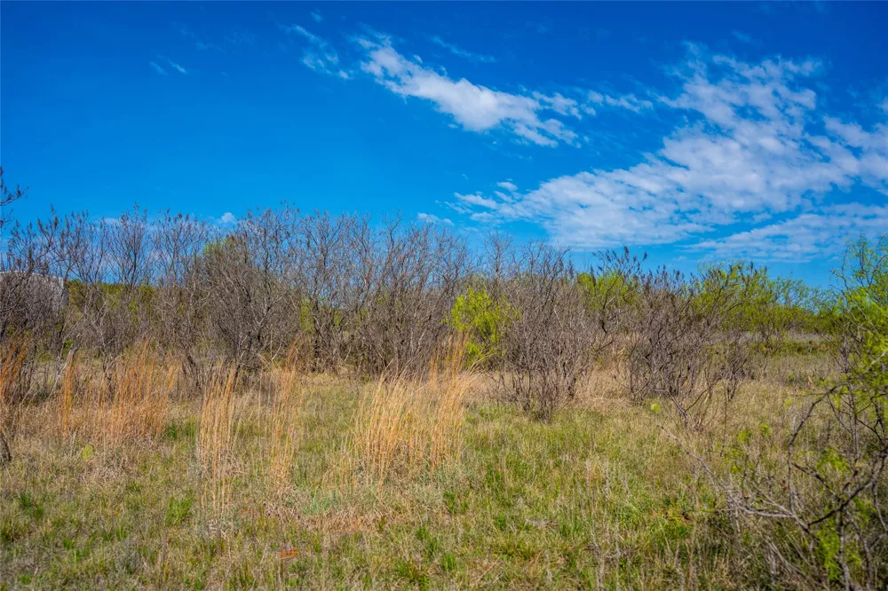 231 Georgia Pass Desdemona, TX 76445
