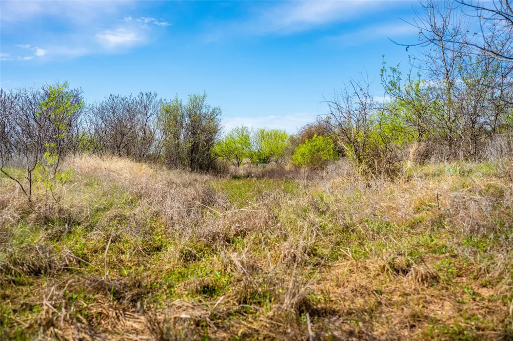 231 Georgia Pass Desdemona, TX 76445