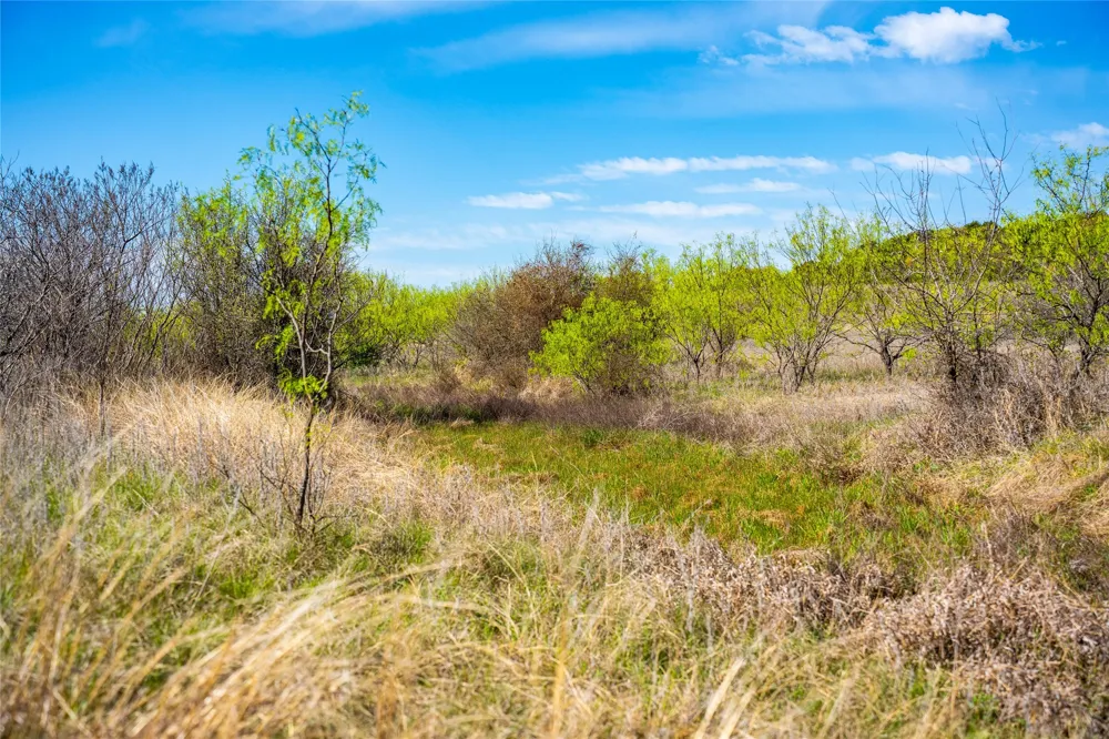 231 Georgia Pass Desdemona, TX 76445