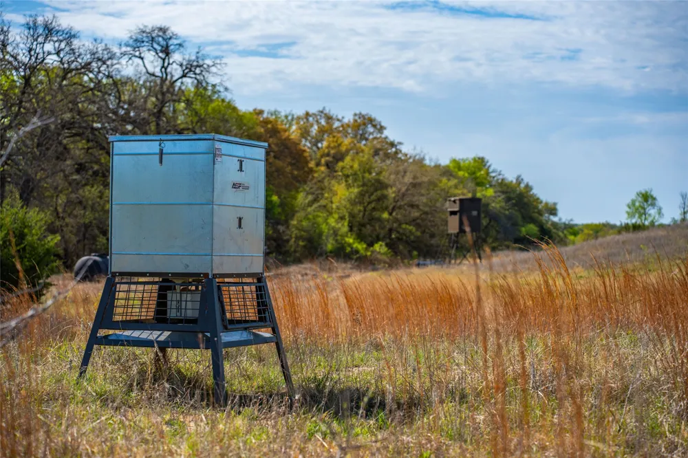231 Georgia Pass Desdemona, TX 76445