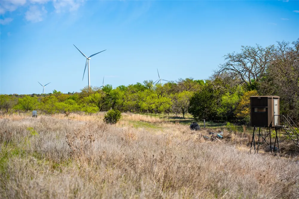 231 Georgia Pass Desdemona, TX 76445