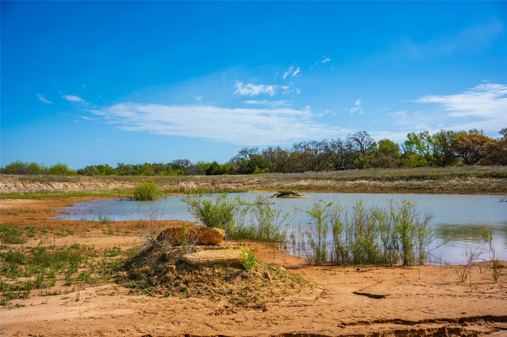 231 Georgia Pass Desdemona, TX 76445