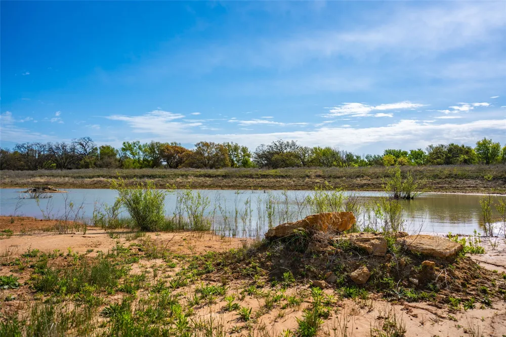 231 Georgia Pass Desdemona, TX 76445