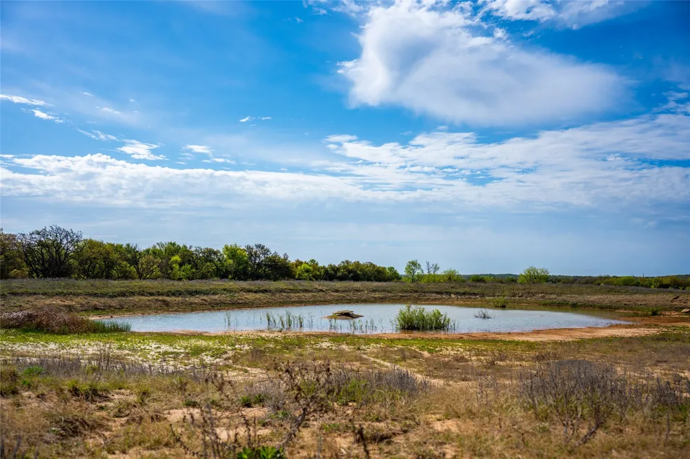 231 Georgia Pass Desdemona, TX 76445