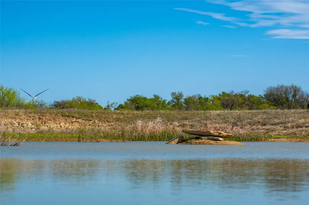 231 Georgia Pass Desdemona, TX 76445