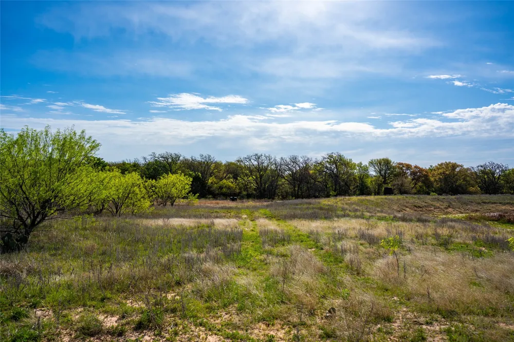 231 Georgia Pass Desdemona, TX 76445
