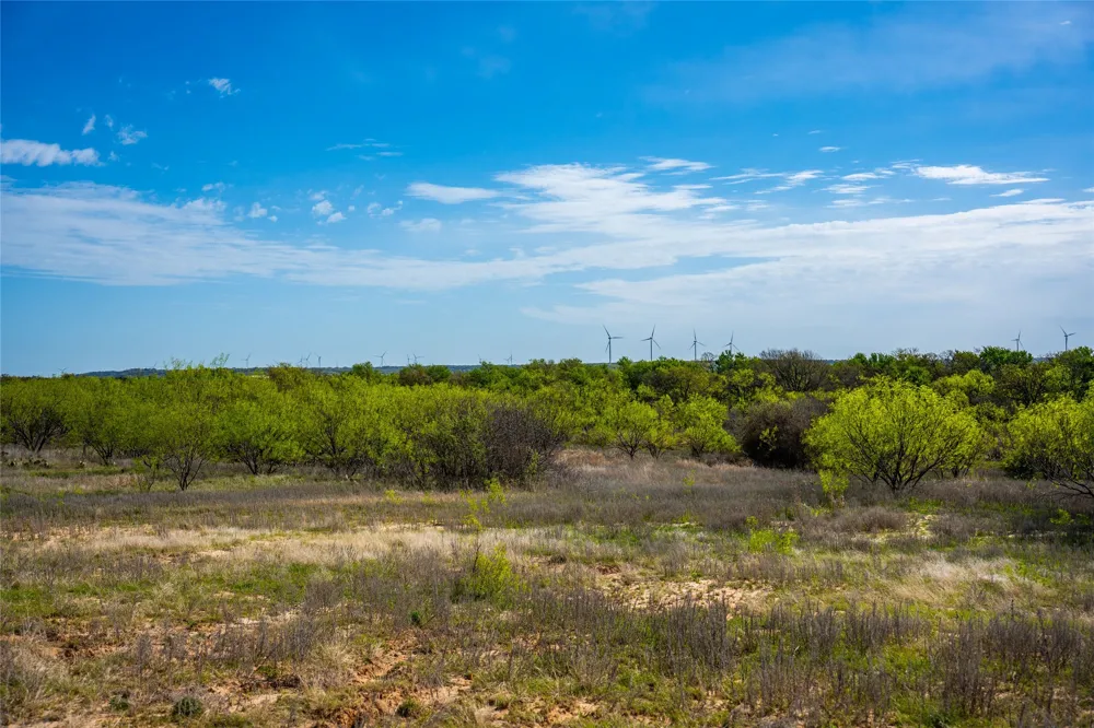 231 Georgia Pass Desdemona, TX 76445