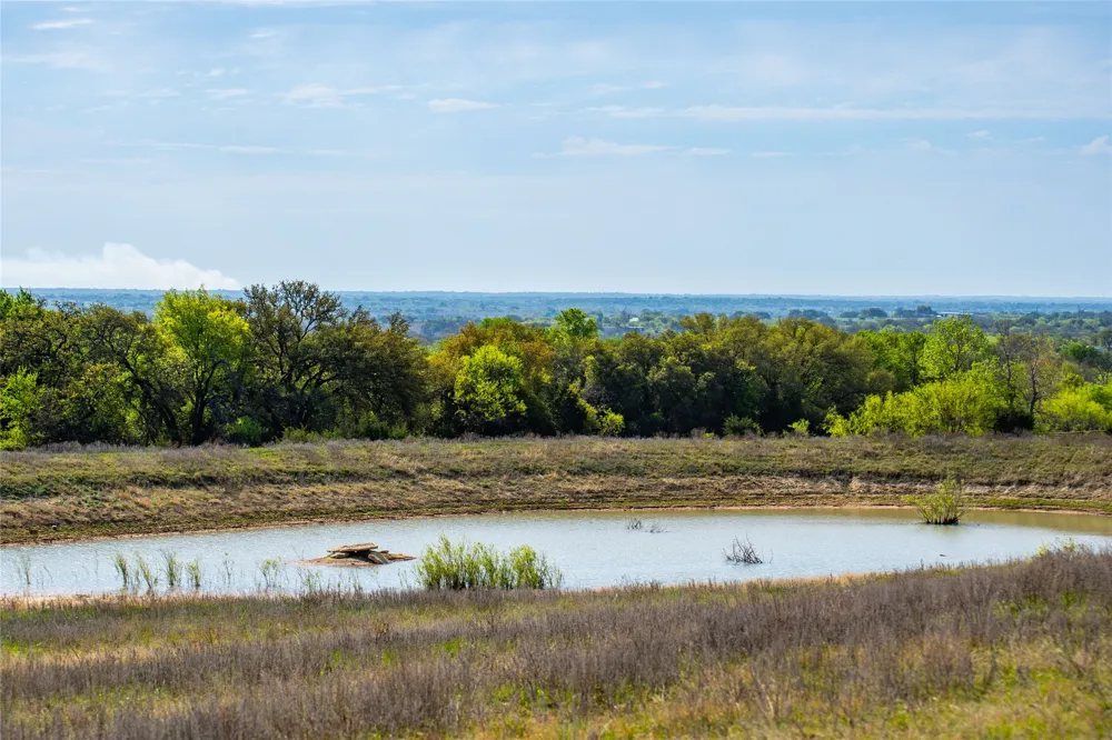 231 Georgia Pass Desdemona, TX 76445