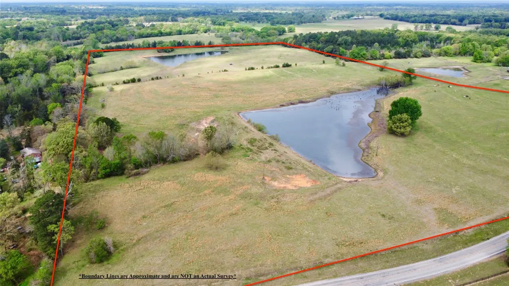 FM 1001 Cookville, TX 75558