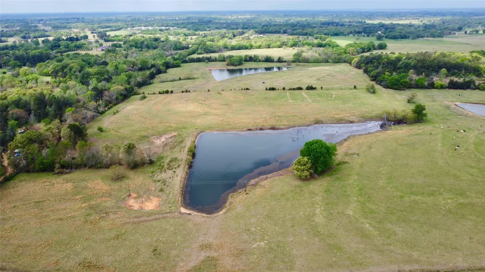 FM 1001 Cookville, TX 75558