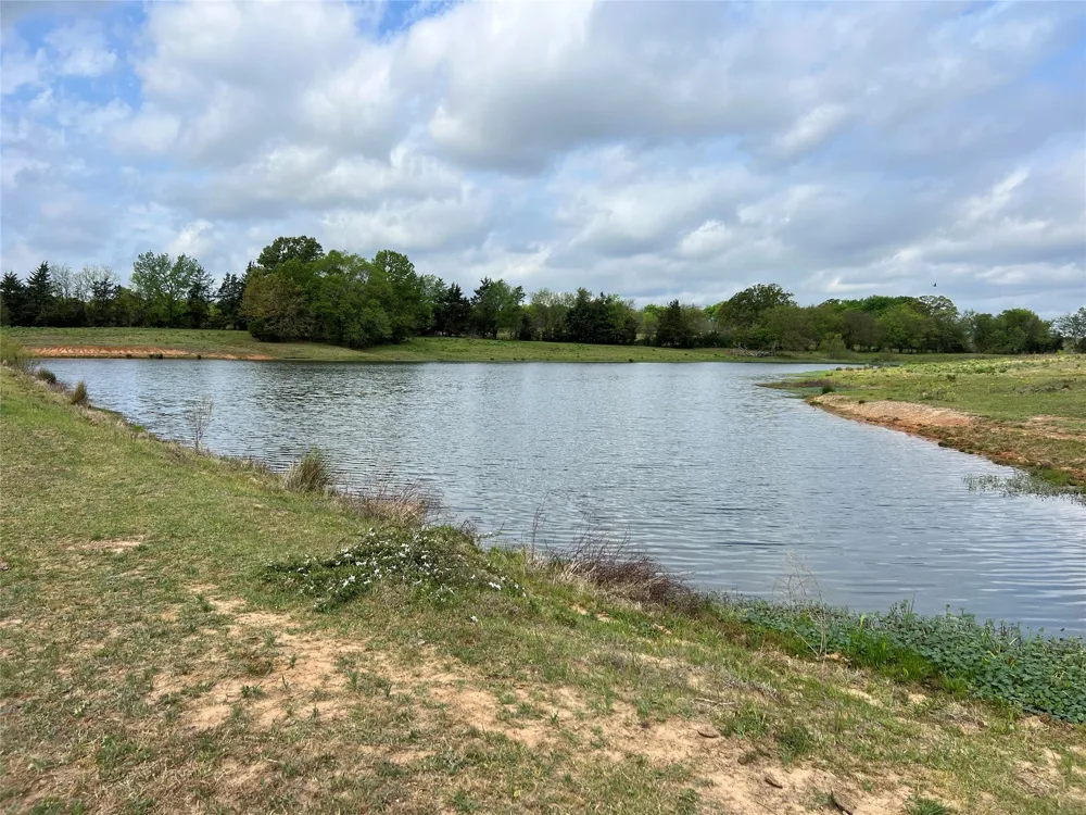 FM 1001 Cookville, TX 75558