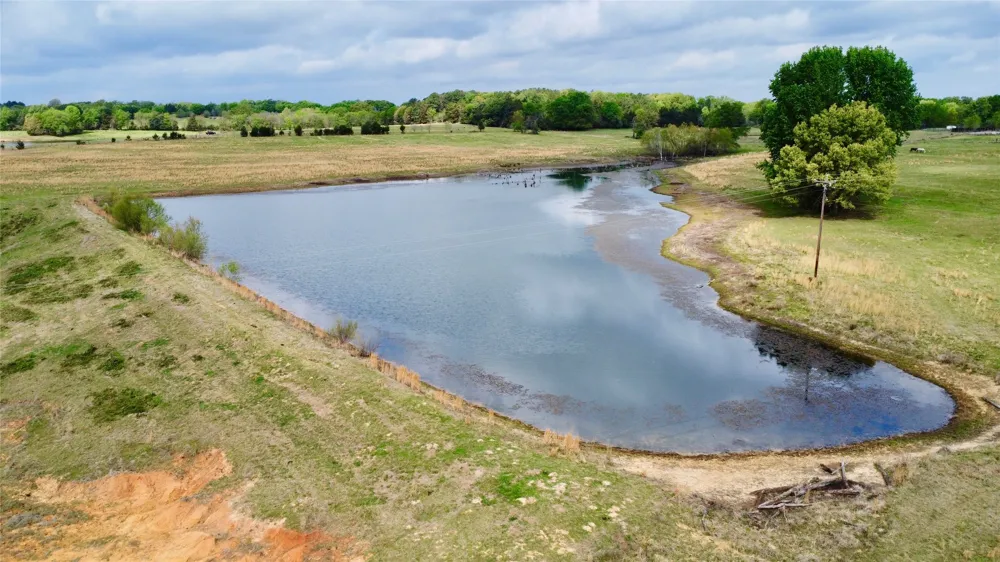 FM 1001 Cookville, TX 75558