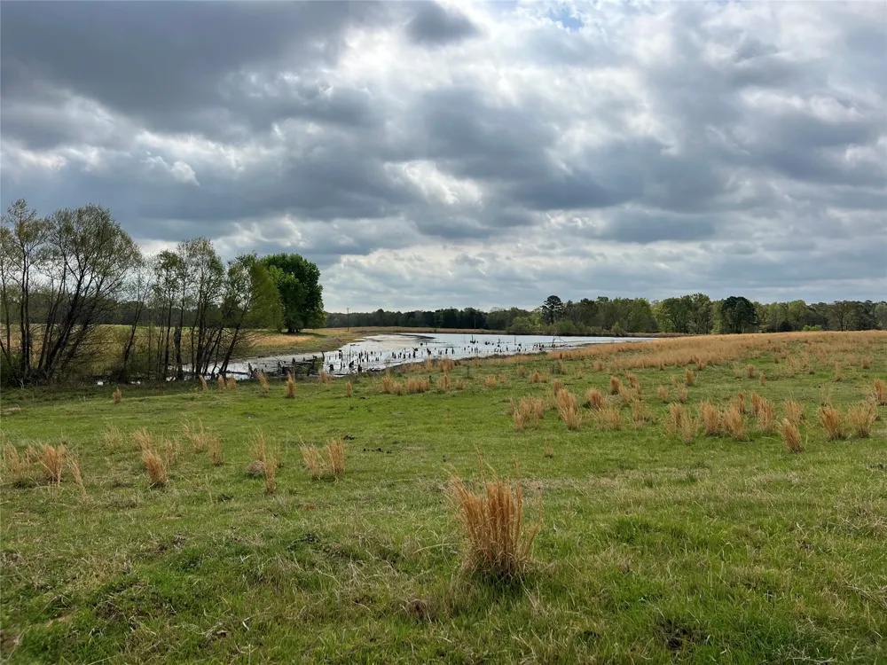 FM 1001 Cookville, TX 75558