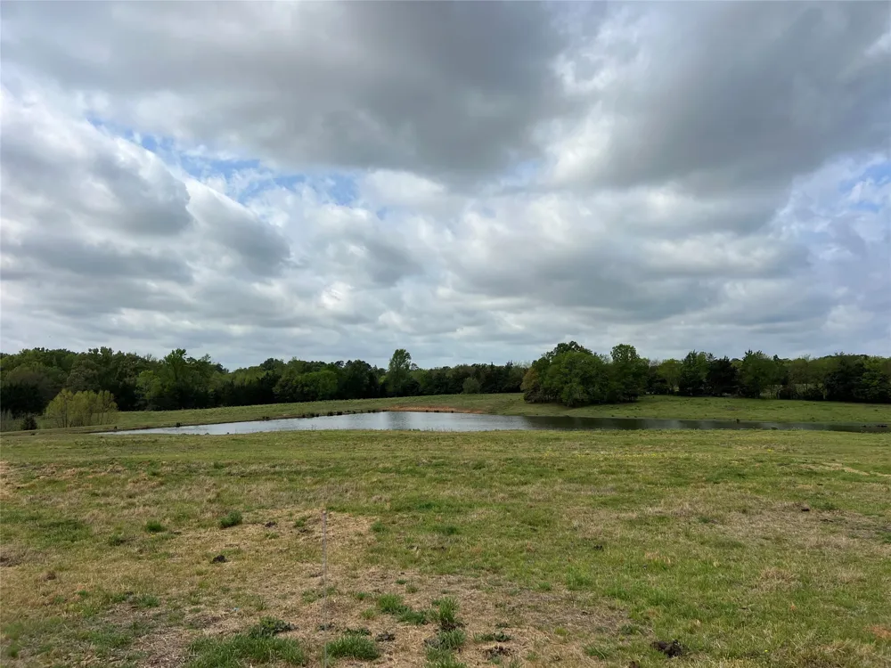 FM 1001 Cookville, TX 75558