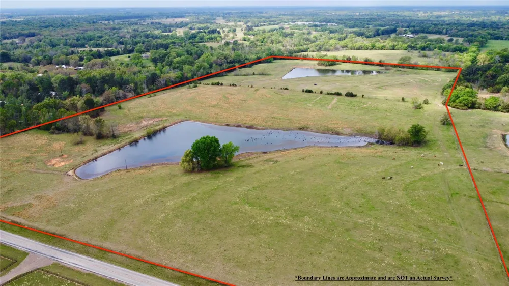 FM 1001 Cookville, TX 75558