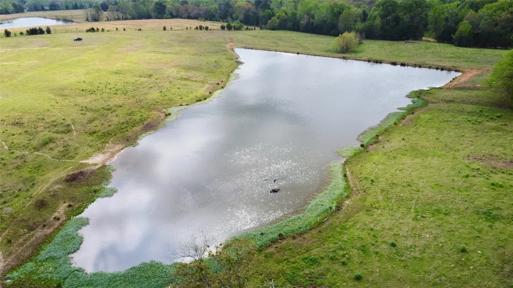 FM 1001 Cookville, TX 75558