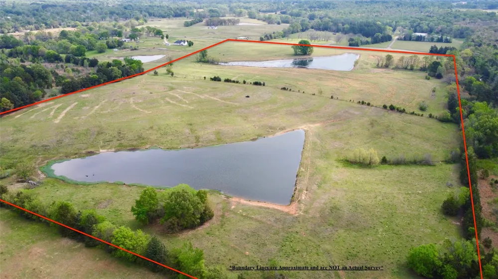 FM 1001 Cookville, TX 75558