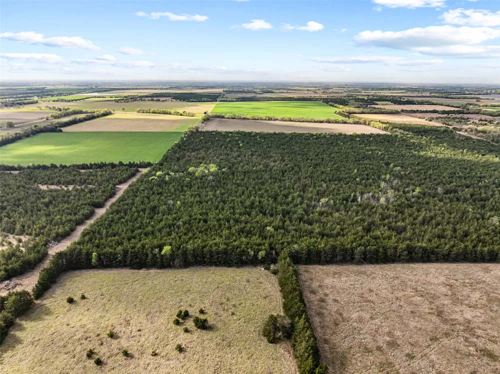 FM 198 Cooper, TX 75432