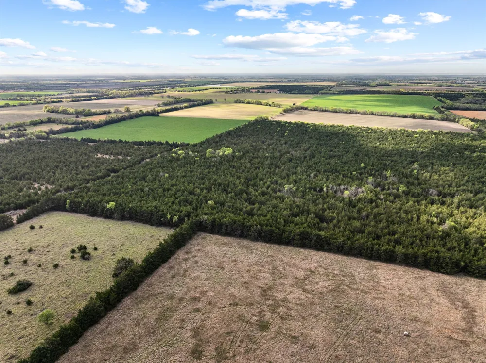 FM 198 Cooper, TX 75432