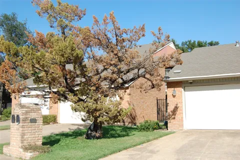 708 Carriage Way