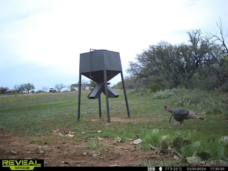 3873 US Highway 87 Brady, TX 76825