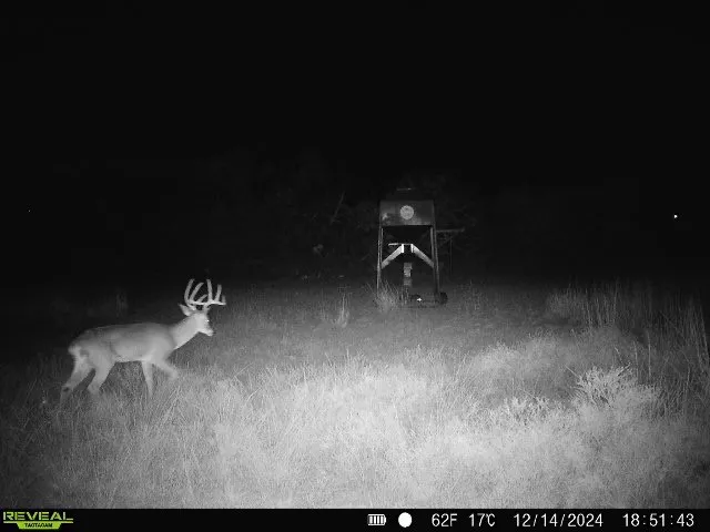 3873 US Highway 87 Brady, TX 76825