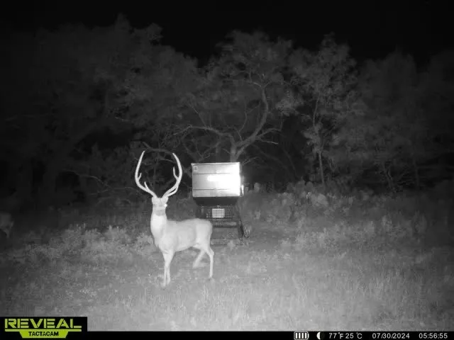 3873 US Highway 87 Brady, TX 76825