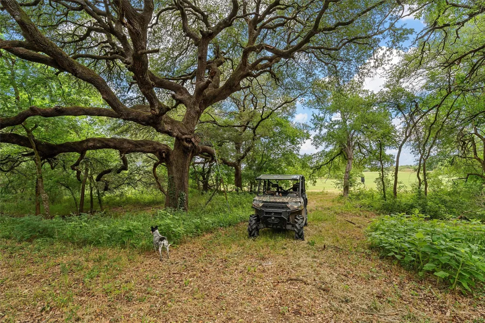 654 County Road 473 Lott, TX 76656