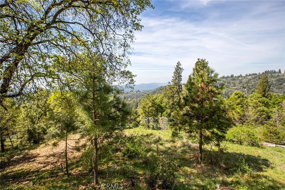 52865 Highway 245 Miramonte, CA 93641