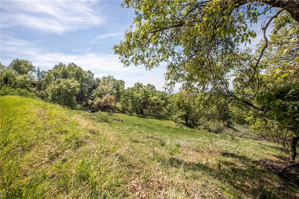 52865 Highway 245 Miramonte, CA 93641