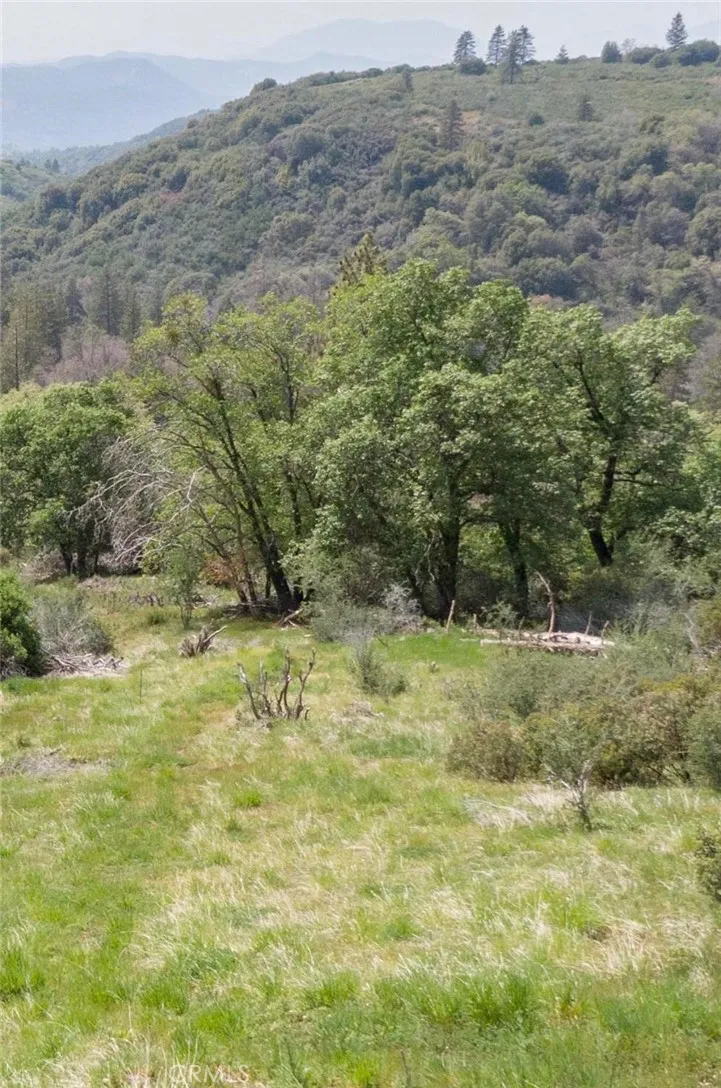 52865 Highway 245 Miramonte, CA 93641