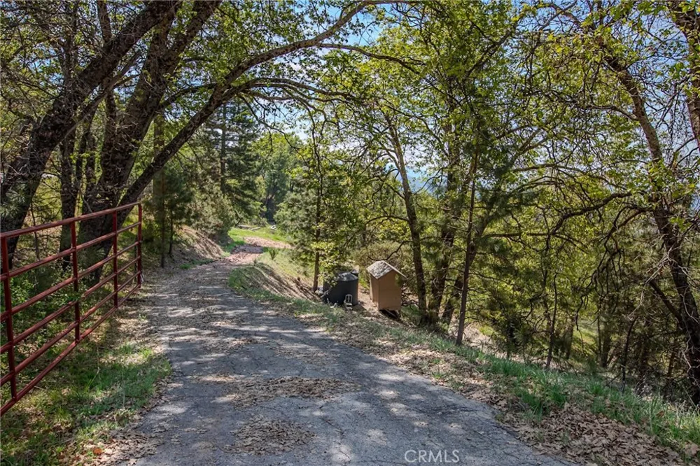 52865 Highway 245 Miramonte, CA 93641