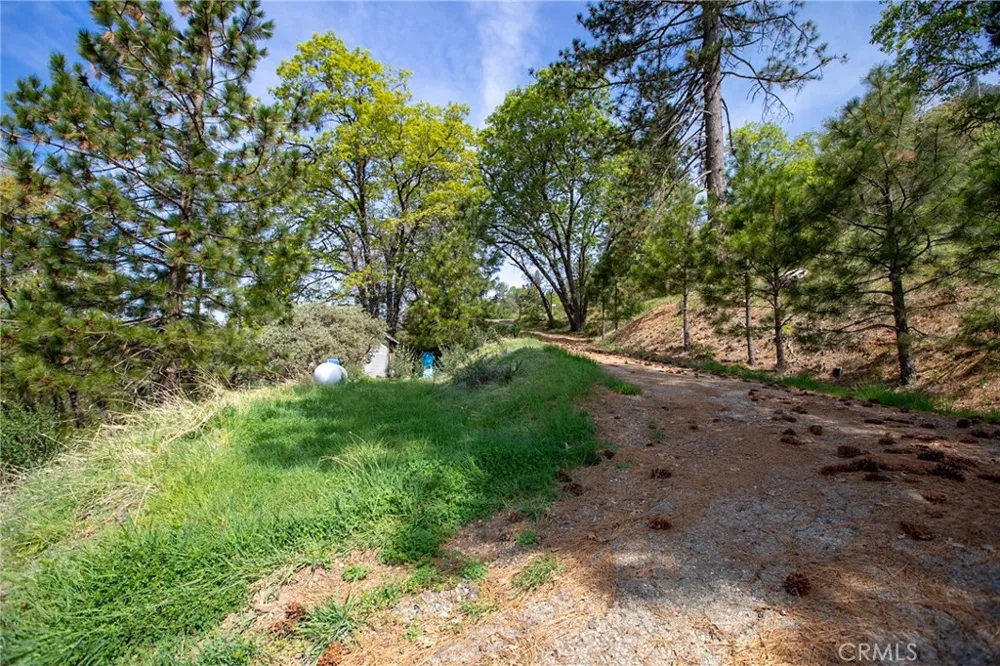 52865 Highway 245 Miramonte, CA 93641