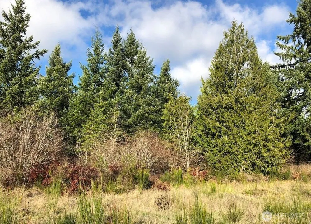 14623 Lindsay Loop Se Yelm, WA 98597
