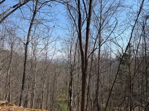 Lot 16 Laurel Mountain