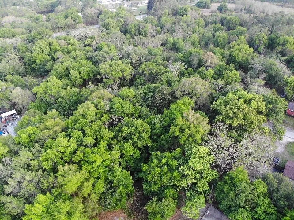 2156 OLD HICKORY TREE ROAD St Cloud, FL 34772