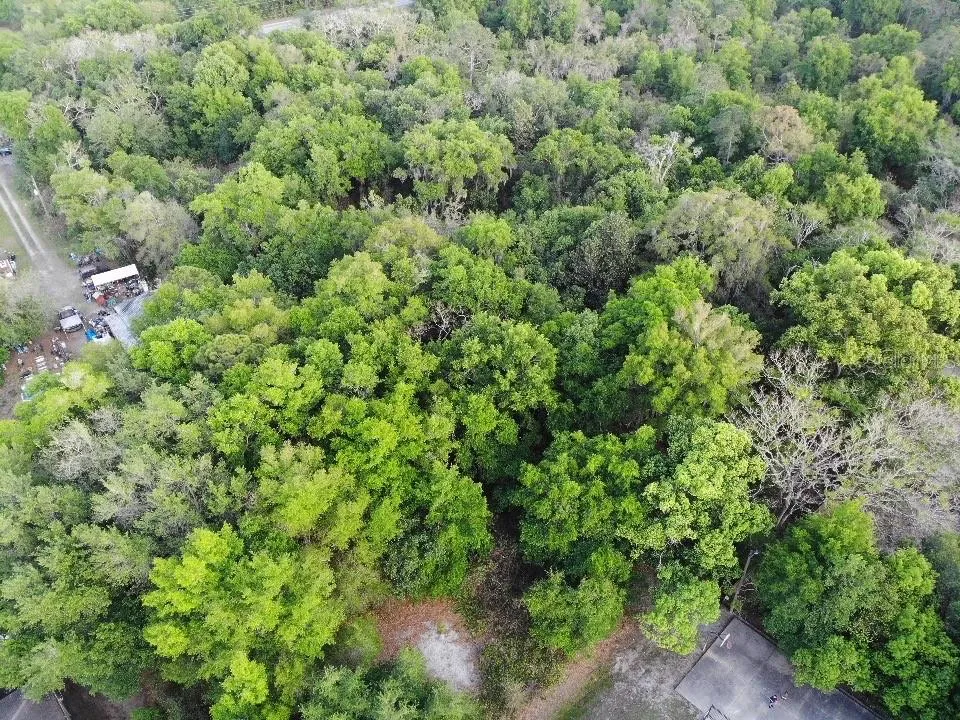 2156 OLD HICKORY TREE ROAD St Cloud, FL 34772