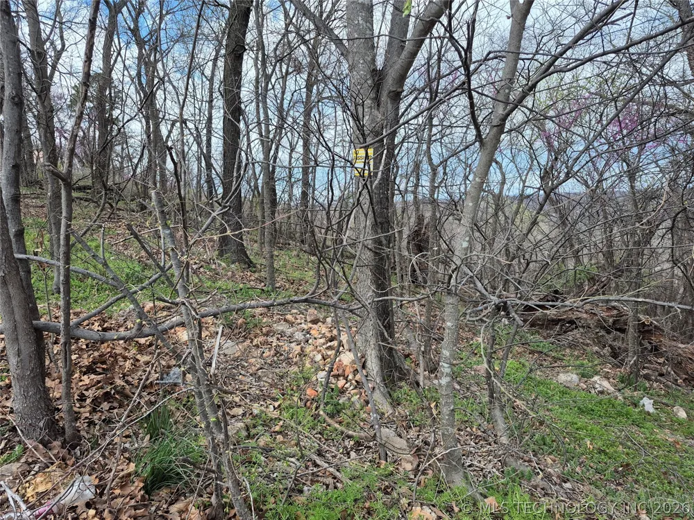 341 E 437 ROAD Spavinaw, OK 74366